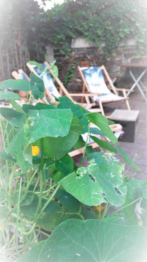 Hotel Zur Sonne Falkenstein エクステリア 写真